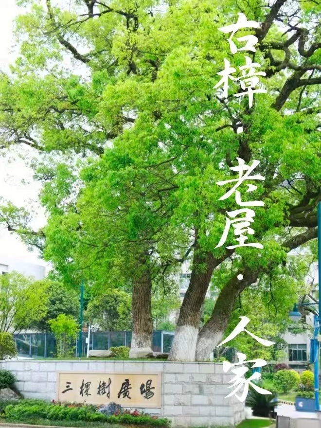 微信圖片_20240522213846.jpg