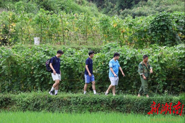 湖南師范大學(xué)“領(lǐng)夢者·弘帆”暑期社會實踐團(tuán)深耕渣坪鄉(xiāng)，探尋“三農(nóng)”解題之道